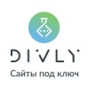 Divly отзывы