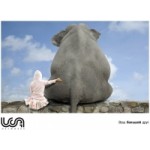 UCA Networks отзывы