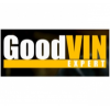 GoodVin Expert диагностика автомобилей отзывы