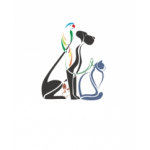 Защита от клещей для кошек отзывы