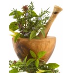 Жевательная резинка Antinicotine отзывы